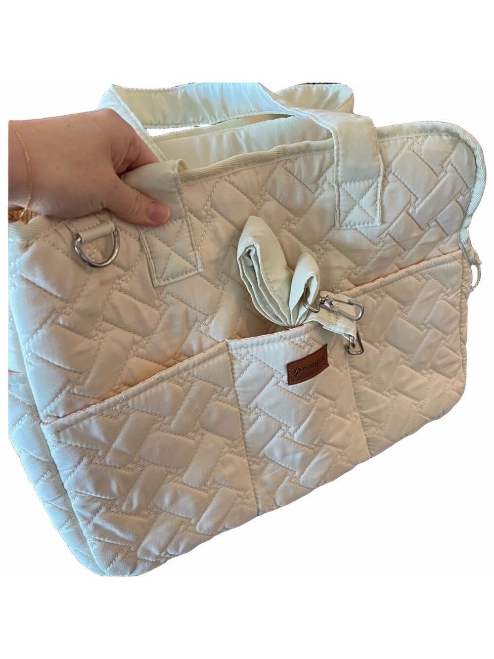 Stylish Cream Dog Carrier with Pink Interior